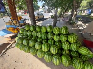 Uzbek Watermelons