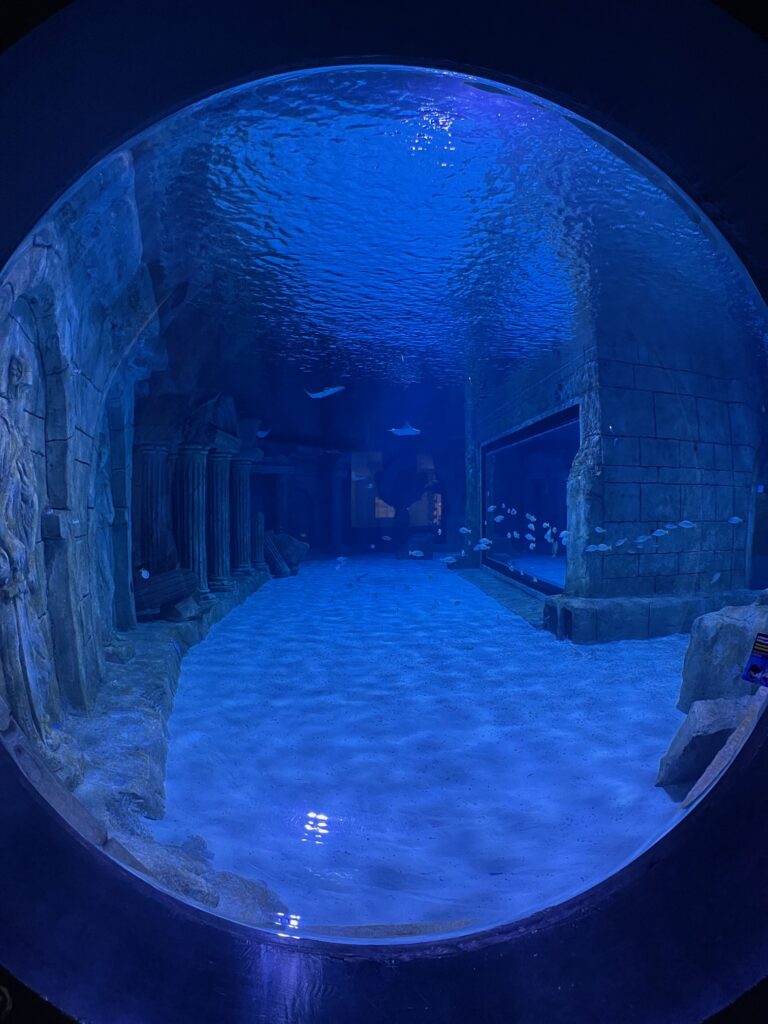 Circular Aquarium Window