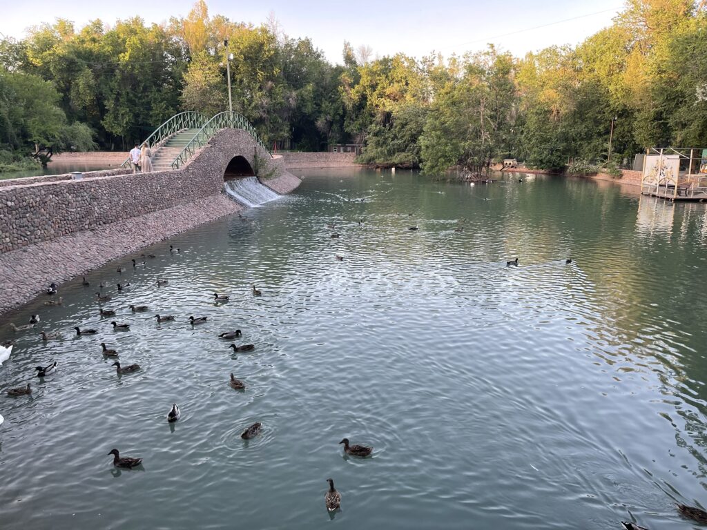 Tashkent Zoo Pond