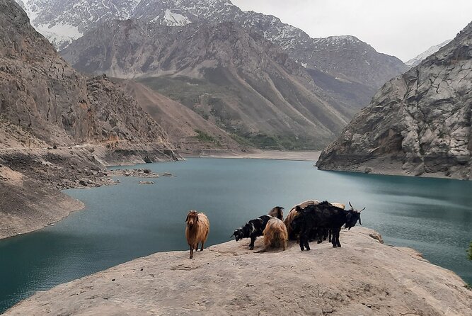 Tajikistan Scenery with Animals