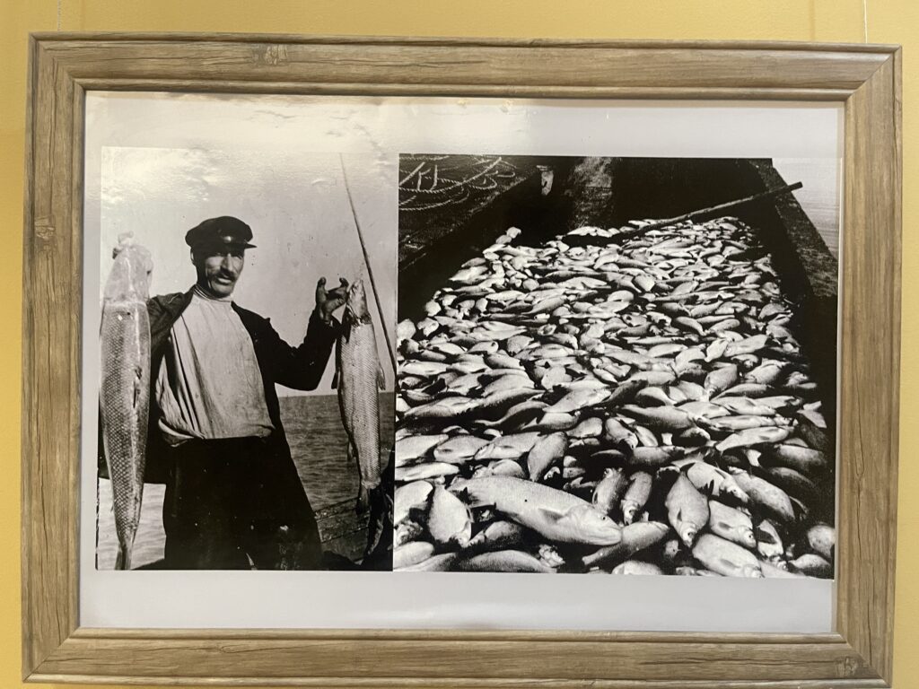 Black and white fisherman photo