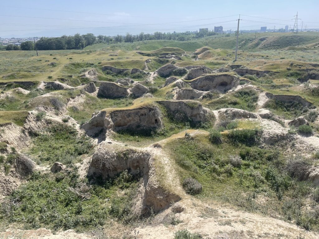 Afrasiab Archeological Site